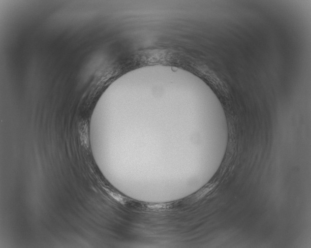 X0000051860240200506241010