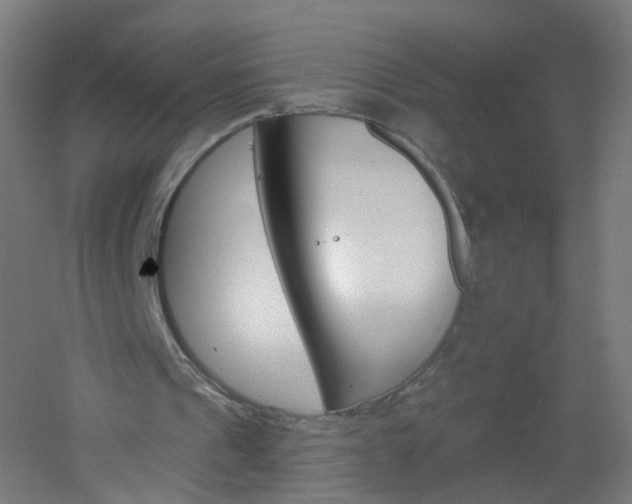 X0000051860241200506241009