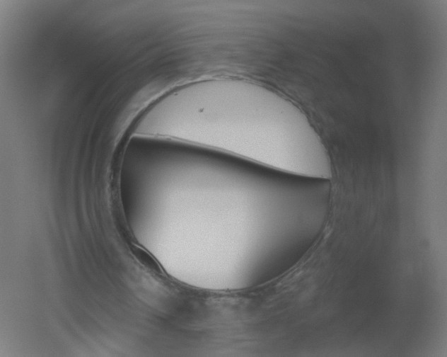 X0000051860242200506241009