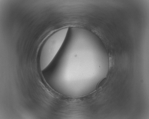 X0000051860243200506241009