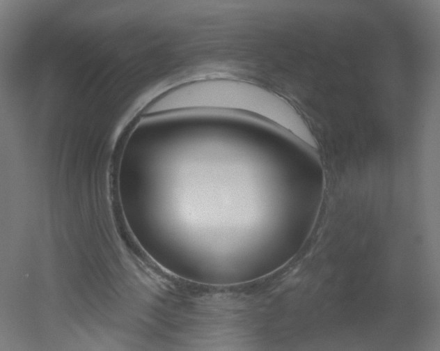 X0000051860244200506241009