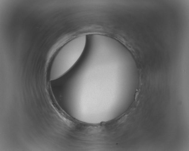 X0000051860245200506241009