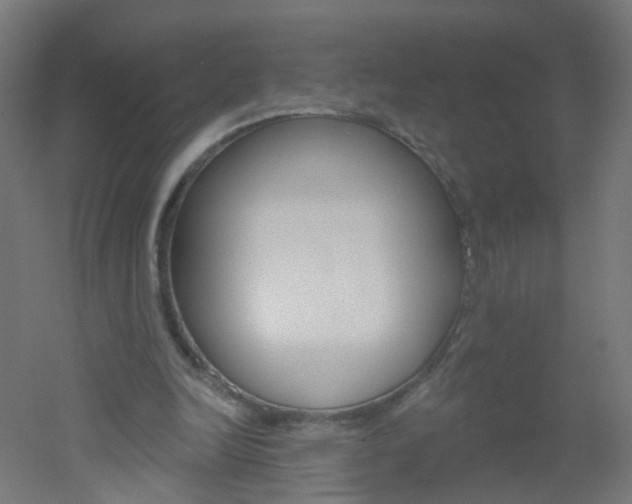 X0000051860246200506241009