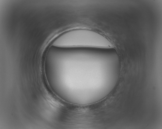 X0000051860247200506241009