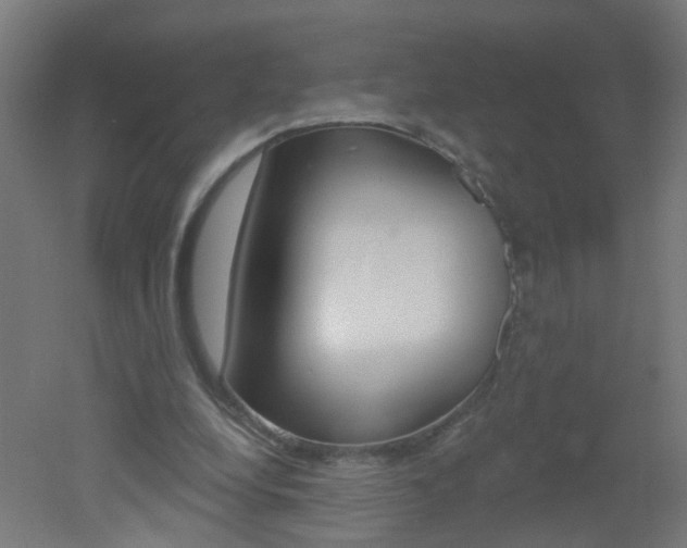 X0000051860248200506241009