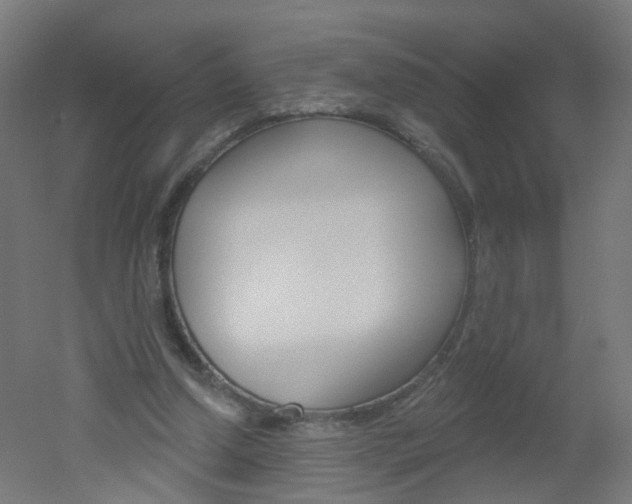 X0000051860250200506241010