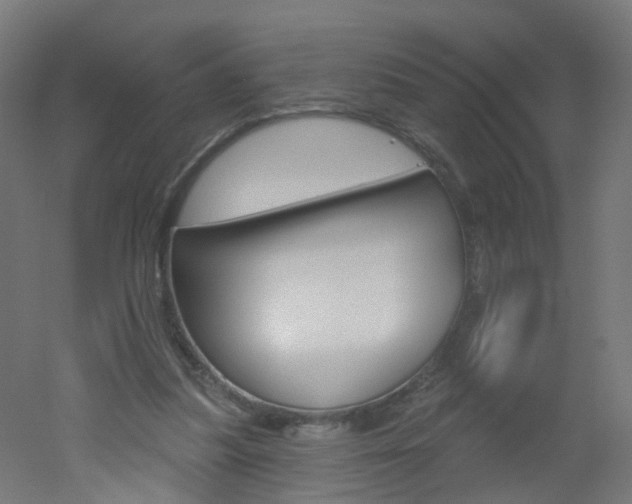 X0000051860251200506241010