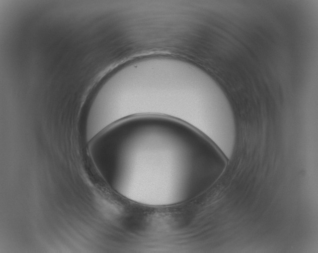 X0000051860252200506241010