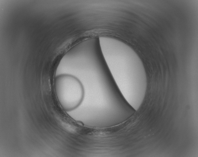 X0000051860254200506241010