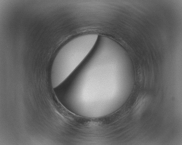 X0000051860255200506241010