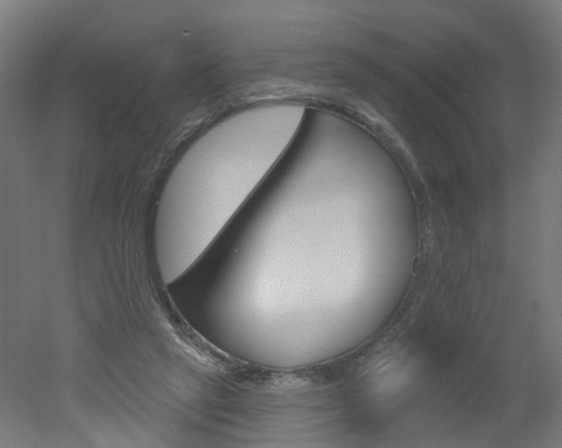 X0000051860257200506241010