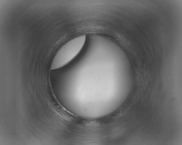 X0000051860258200506241010