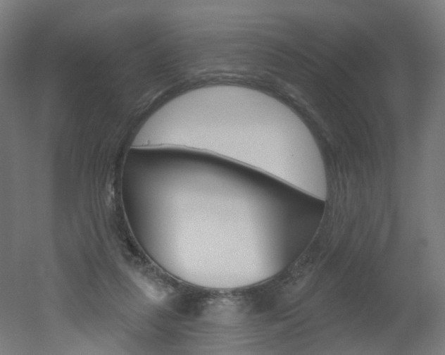 X0000051860259200506241010