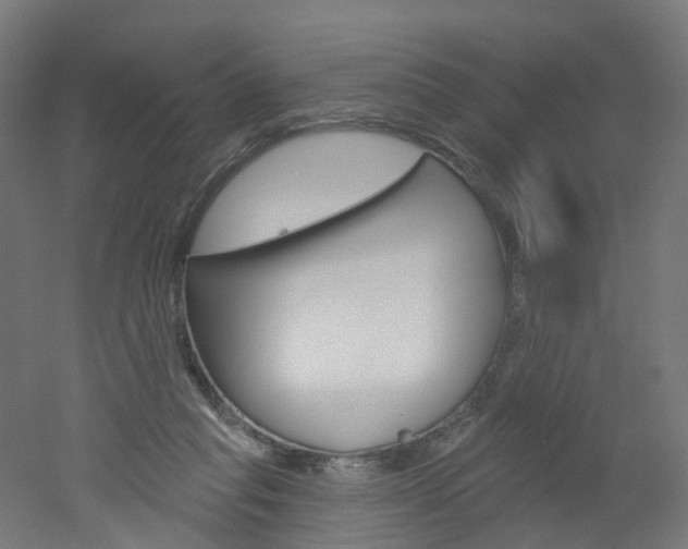 X0000051860261200506241010