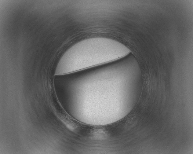 X0000051860262200506241010