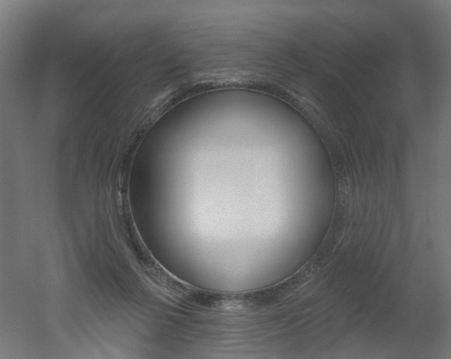 X0000051860264200506241010