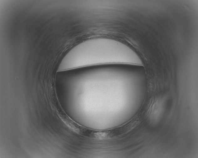 X0000051860265200506241010