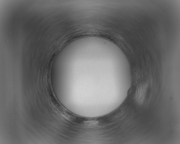 X0000051860266200506241010