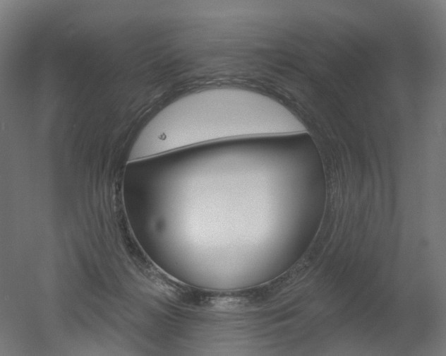 X0000051860268200506241010