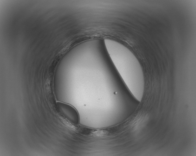 X0000051860269200506241010