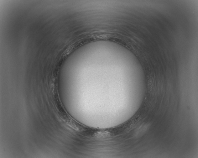 X0000051860271200506241010