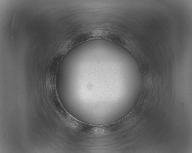 X0000051860272200506241010