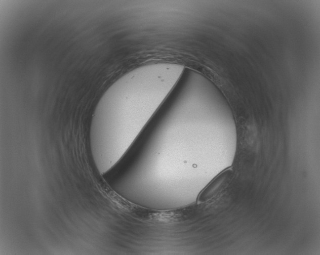 X0000051860273200506241010