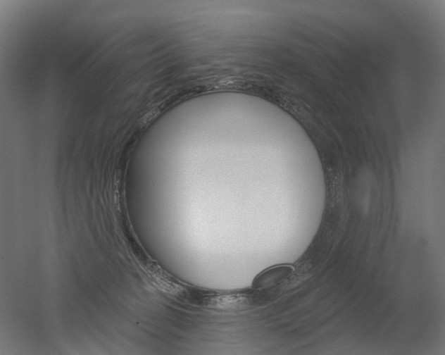 X0000051860274200506241010