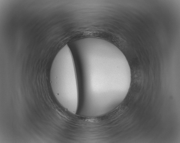 X0000051860275200506241010