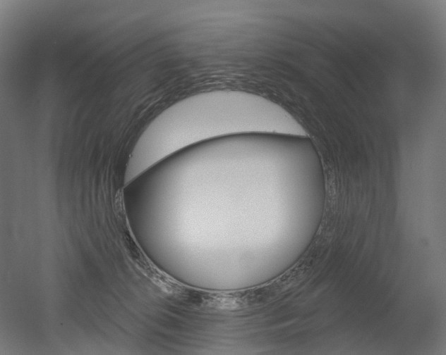 X0000051860276200506241010