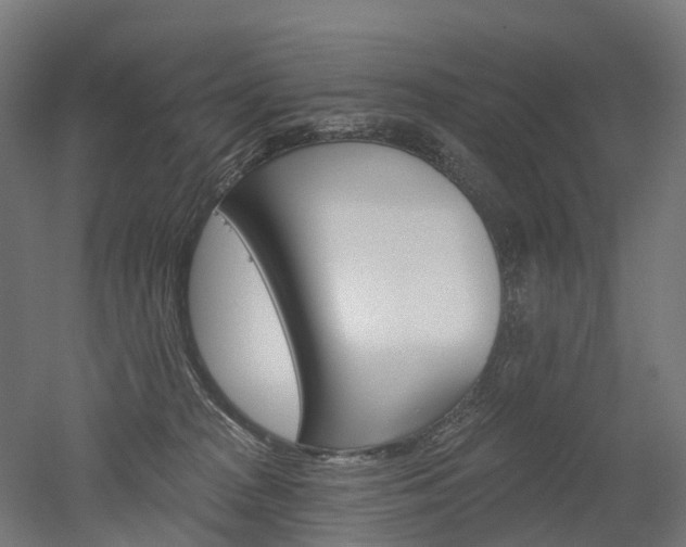 X0000051860277200506241010