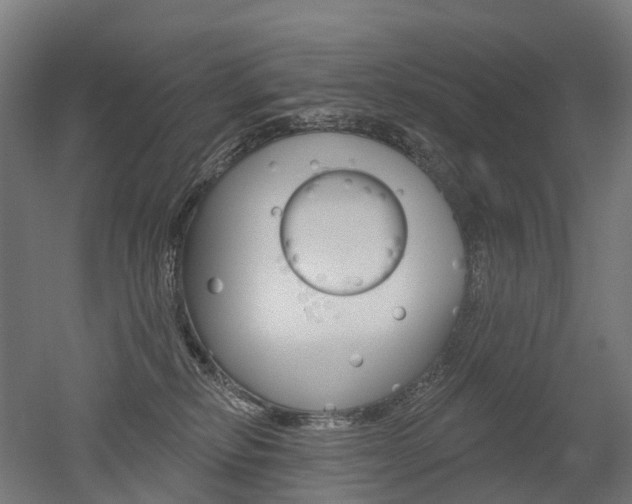 X0000051860278200506241010