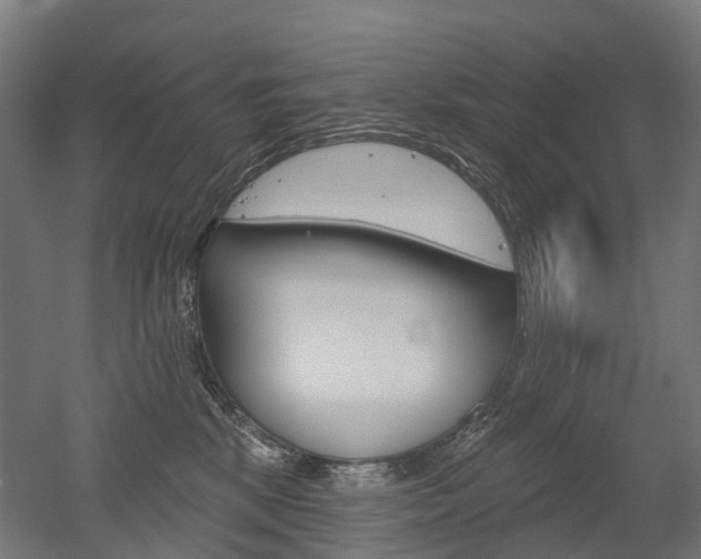 X0000051860281200506241010