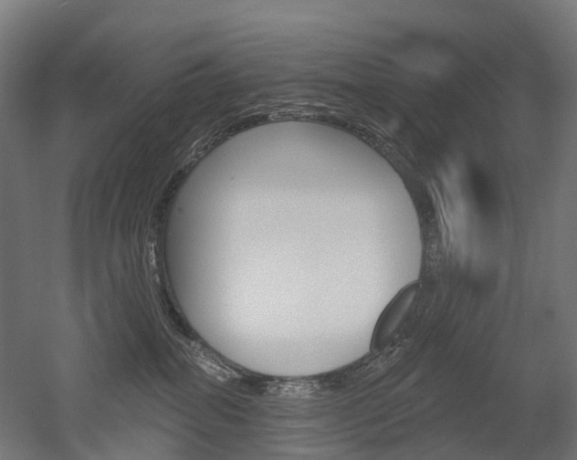 X0000051860282200506241010