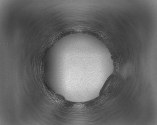 X0000051860283200506241010