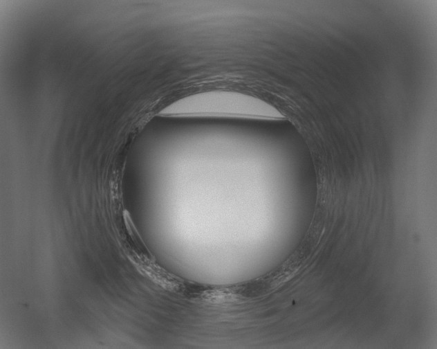 X0000051860284200506241010