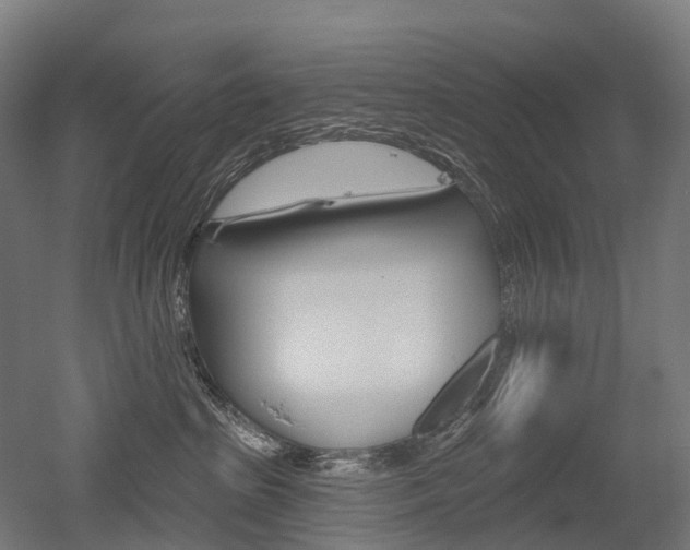 X0000051860285200506241010