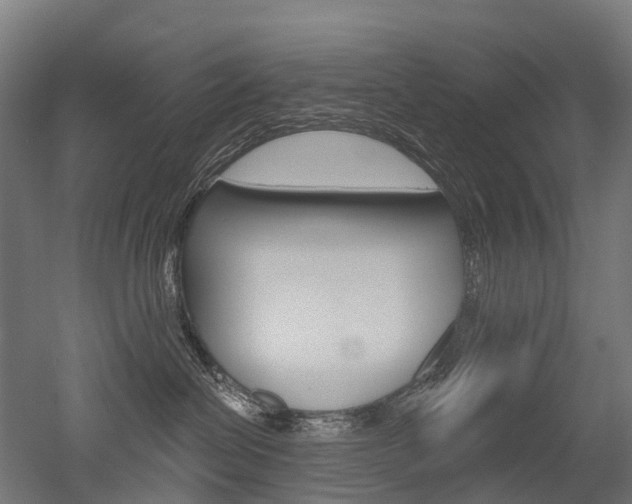 X0000051860286200506241010