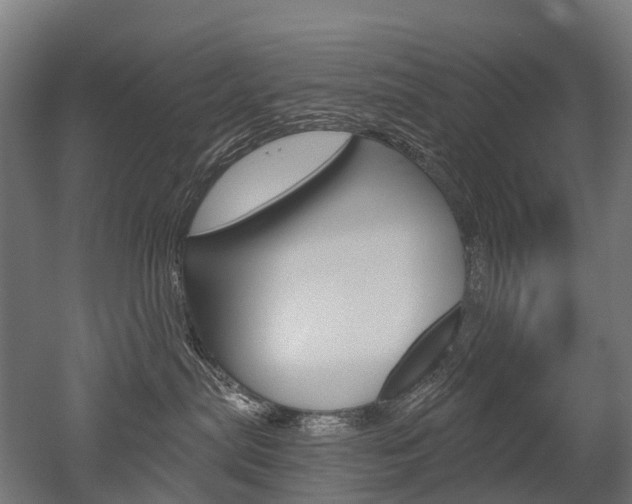 X0000051860287200506241010