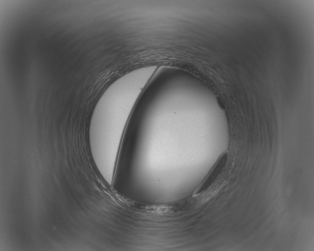 X0000051860288200506241010