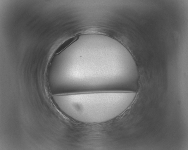 X0000051860289200506241009