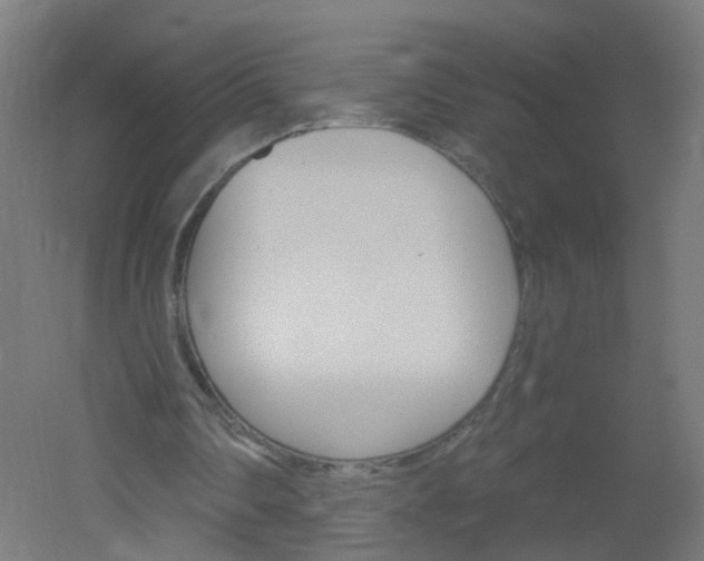 X0000051860290200506241009