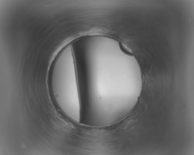 X0000051860292200506241009