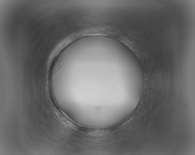 X0000051860293200506241009