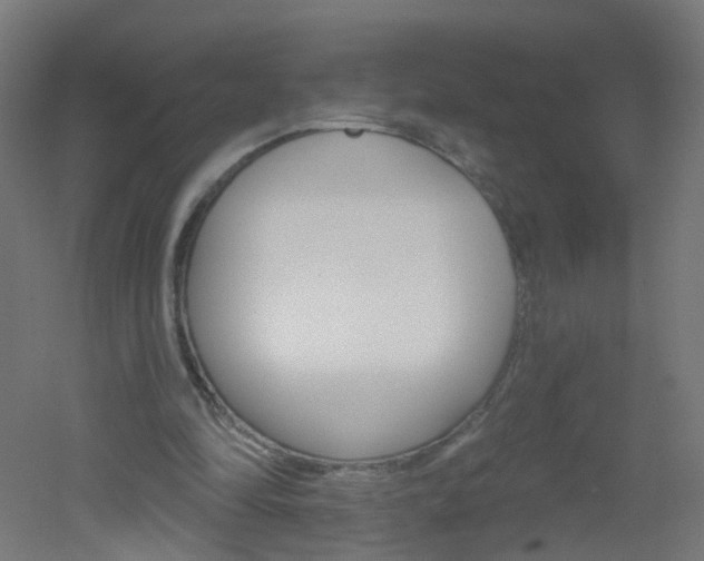 X0000051860294200506241009