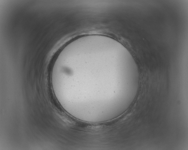 X0000051860295200506241009