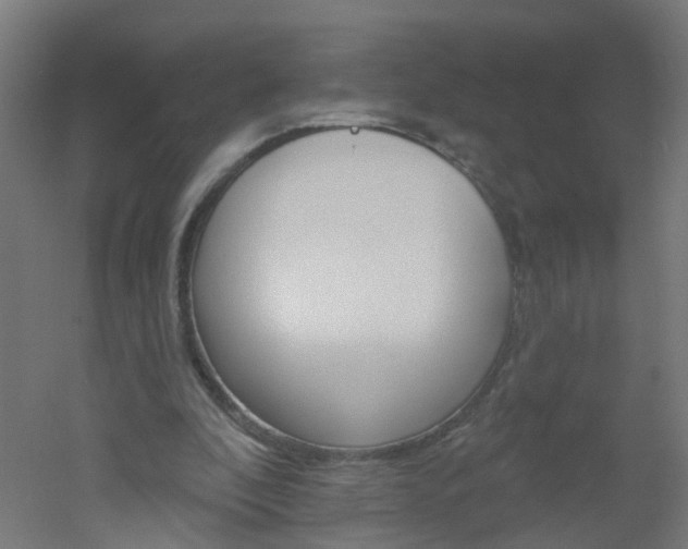 X0000051860296200506241009