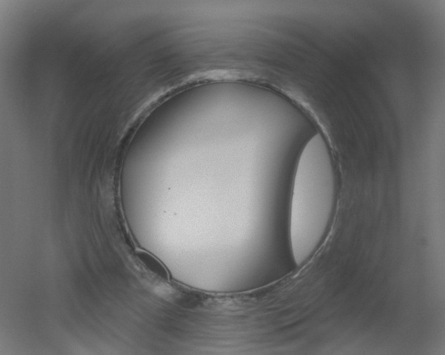 X0000051860297200506241009