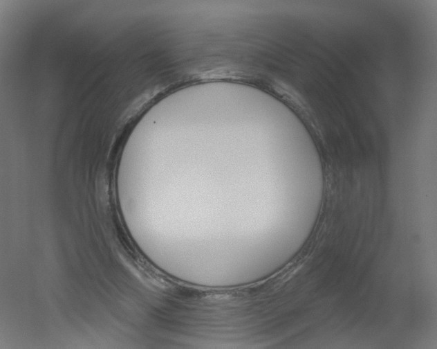 X0000051860298200506241009