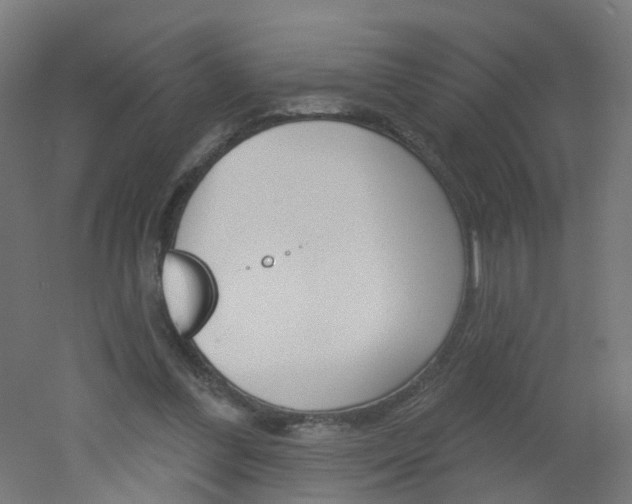 X0000051860300200506241009